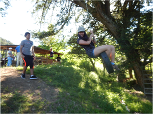 Tire Swing